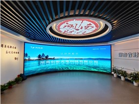湖南省财政厅弧形屏
